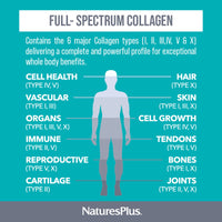Nature's Plus NaturesPlus Collagen Peptides Capsules - Sustainable Hydrolysed Collagen Supplement, 6 Major Types of Collagen - Non-GMO, Gluten Free - 120 Capsules