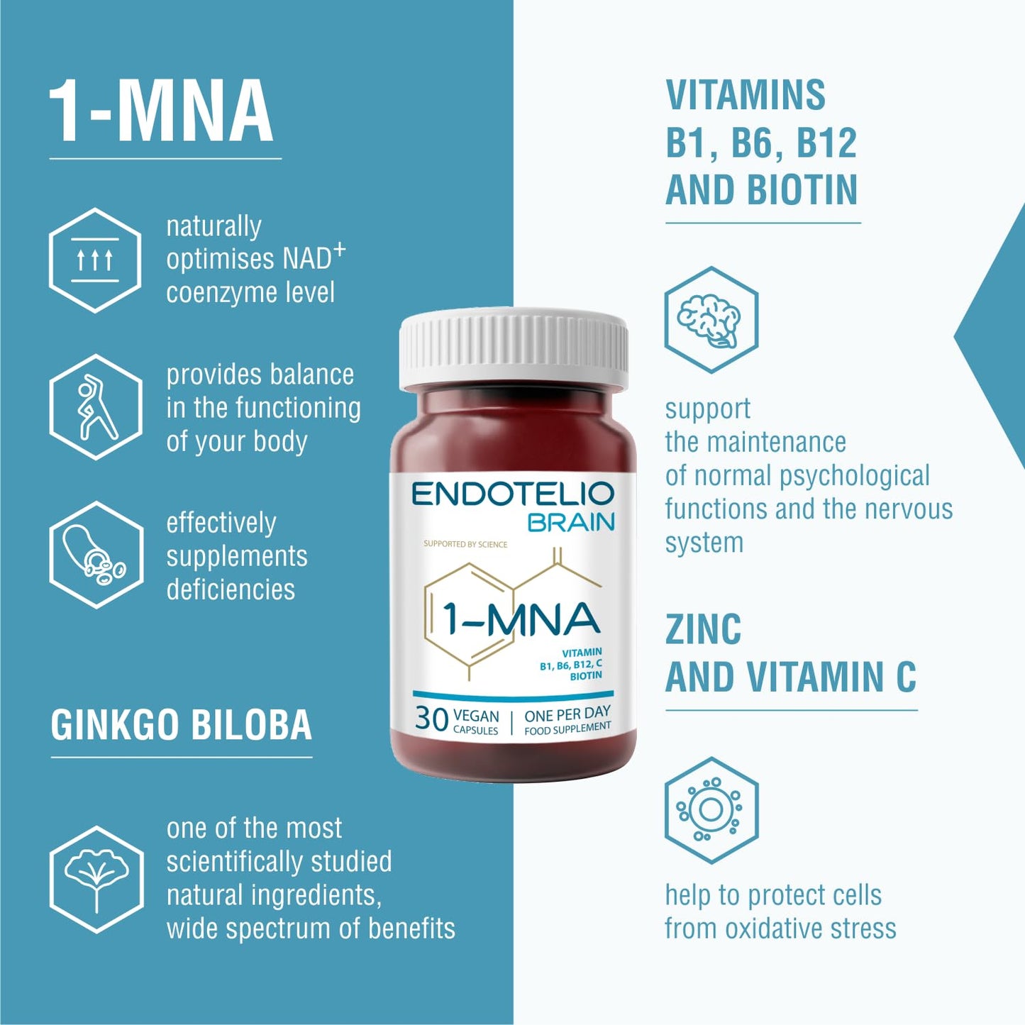 ENDOTELIO Endotelio Brain 1-MNA, Anti Aging, Optimizing NAD+, Ginkgo Biloba, Zinc, Biotin, Vitamin C and B Complex, Biohacking Supplement, Memory, Focus, Mood, Enhanced Bioavailability, 30 Caps