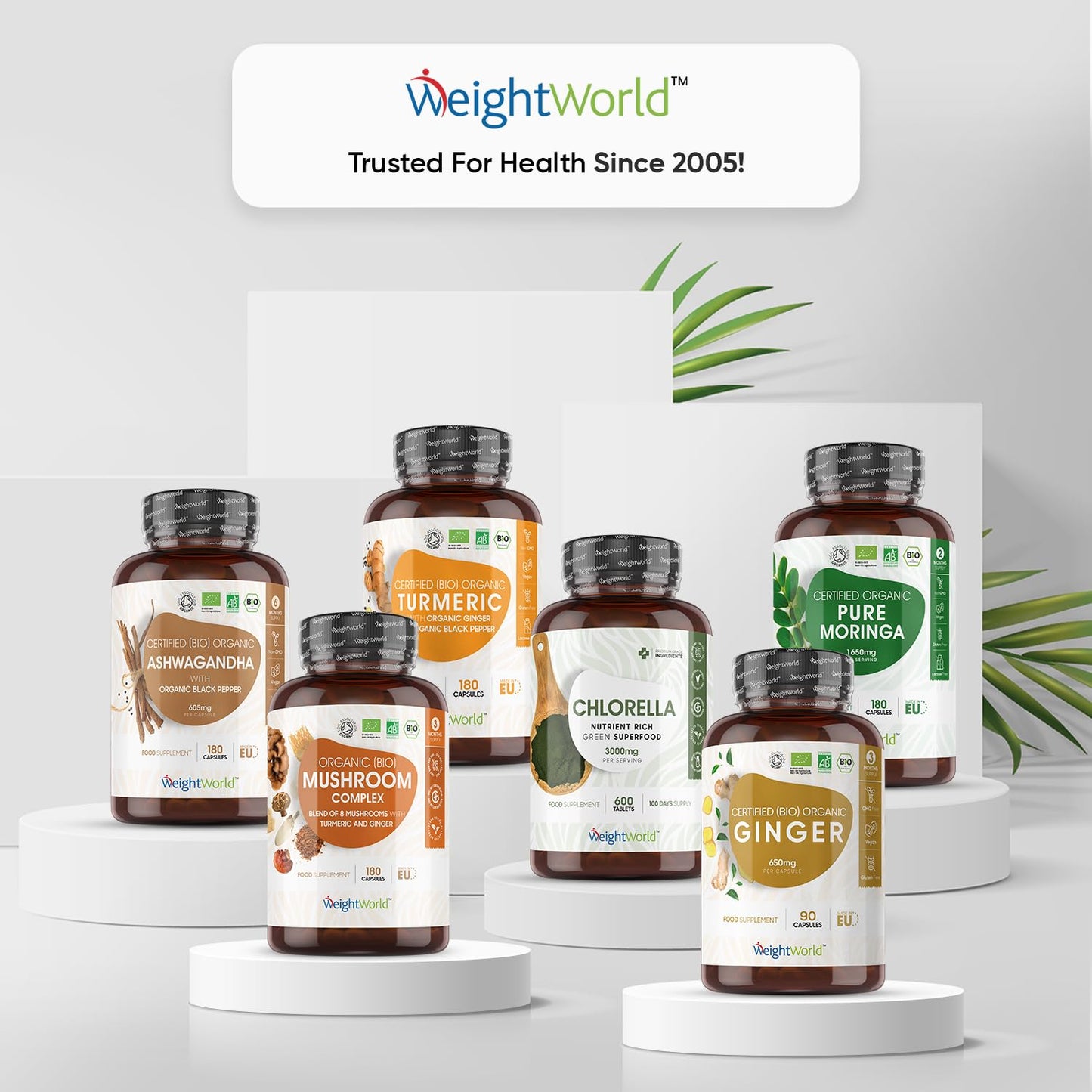 Activated Charcoal Capsules 2000mg - 180 Vegan Capsules (Not Activated Charcoal Tablets) - Coconut Charcoal Digestion Supplement from Sustainably Sourced Coconut Shell – Reduce Excessive Flatulence.