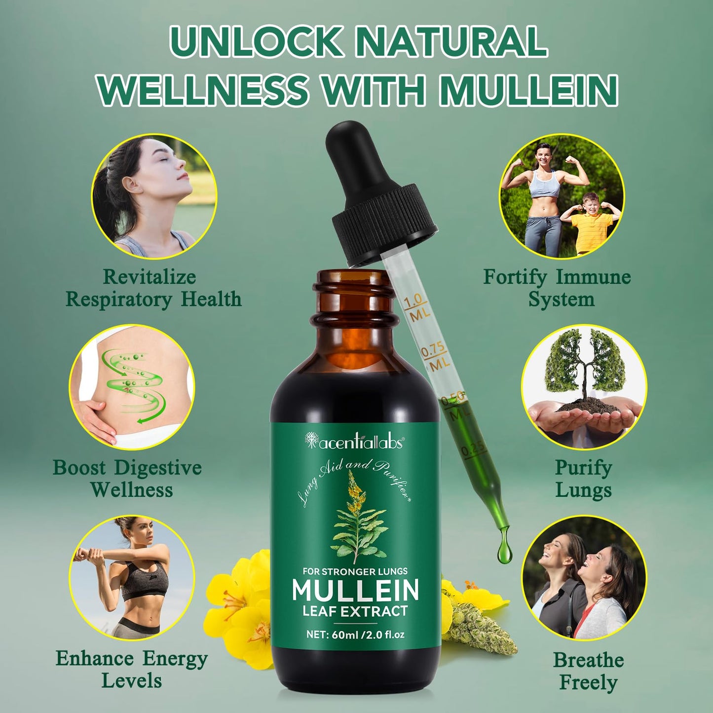 ZyranovaE Mullein Leaf Liquid Drops 60ml,Premium Mullein Leaf Extract,Alcohol Free,Vegan,Health Immune Support,Fast Absorption