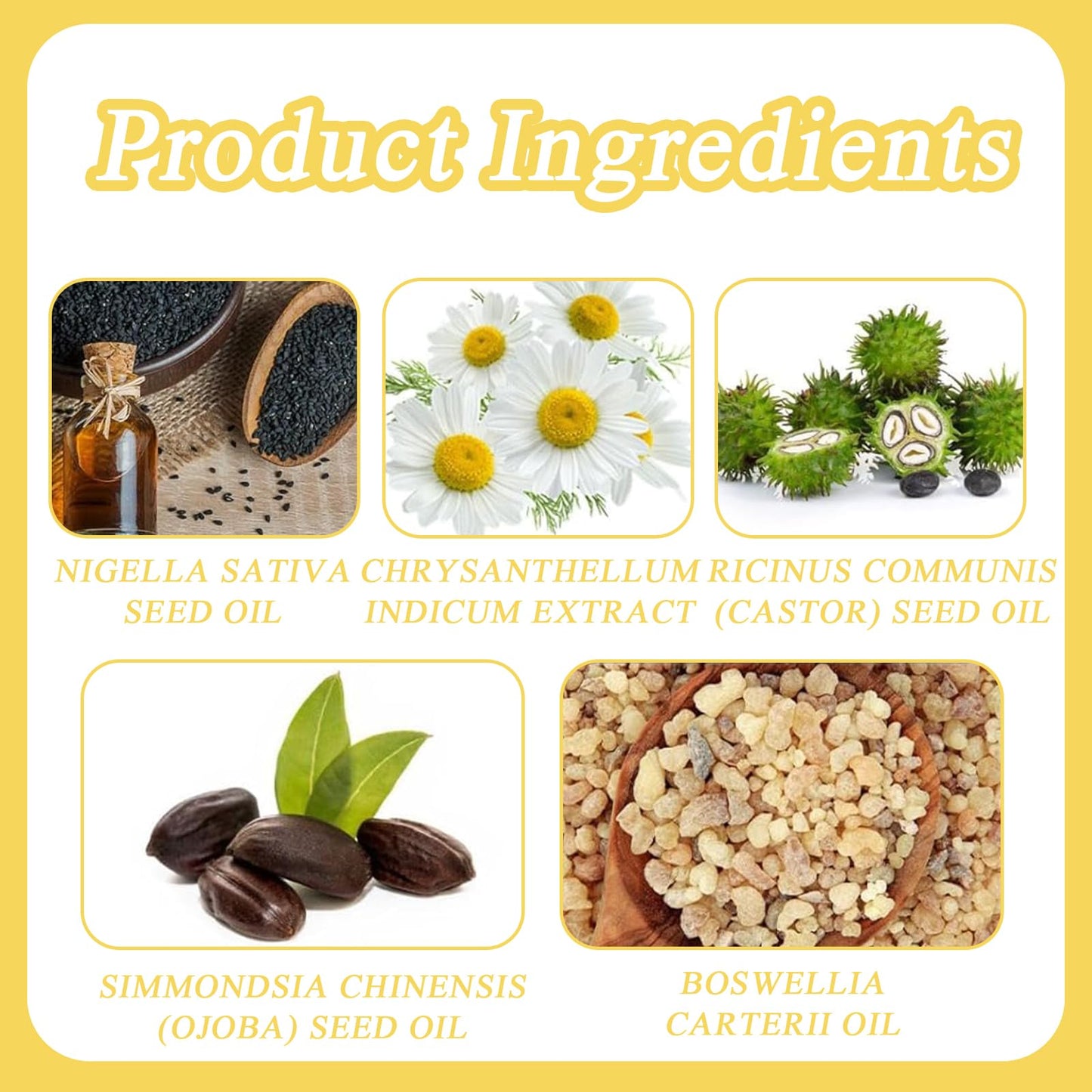 MADGININE 3 Pcs Frankincense Oil for Skin, Frankincense Oil, Frankincense Resin Oil, Deeply Nourishing, Light and Non-Sticky, Improve Skin Conditi, Frankincense Resin Oil for Skin Care