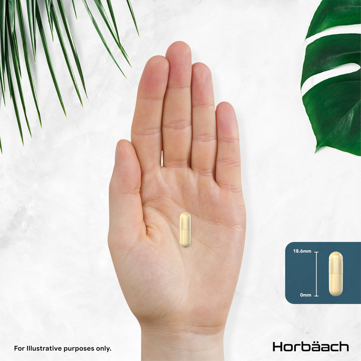 Horbäach Ashwagandha KSM-66 Complex 5000mg | Enhanced with Amino Acids and B Vitamins (B1, B2, B3, B6 & B12) | Calm Formula for Men & Women | 60 Vegan Capsules | by Horbaach