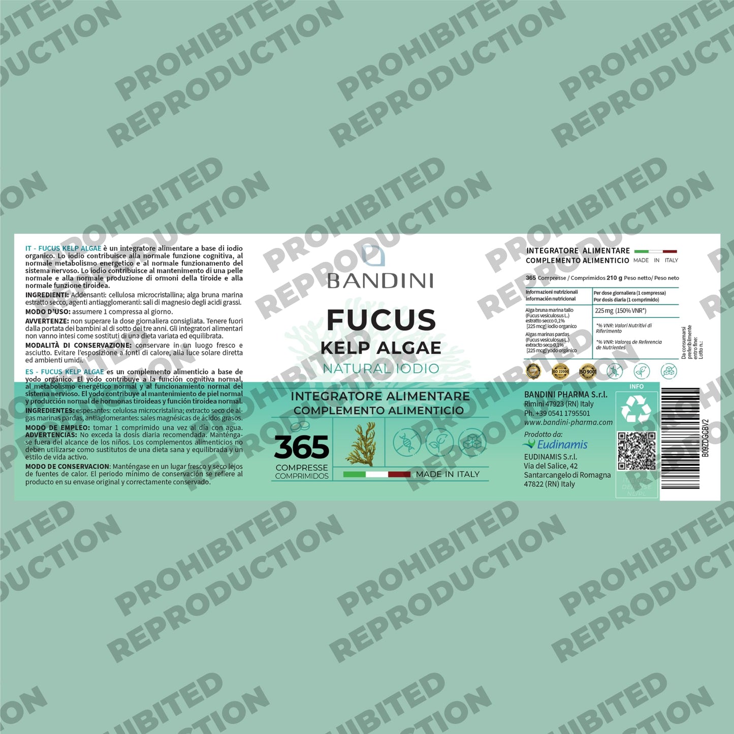 Bandini® Fucus Kelp Algae (Seaweed Natural Iodine 225mcg) - 365 Tablets (1 Year Supply) - High Strength, Vegan - Brown Algae Titrated to 0.1% Iodine - Stimulates Energy Metabolism - Nail & Hair Health