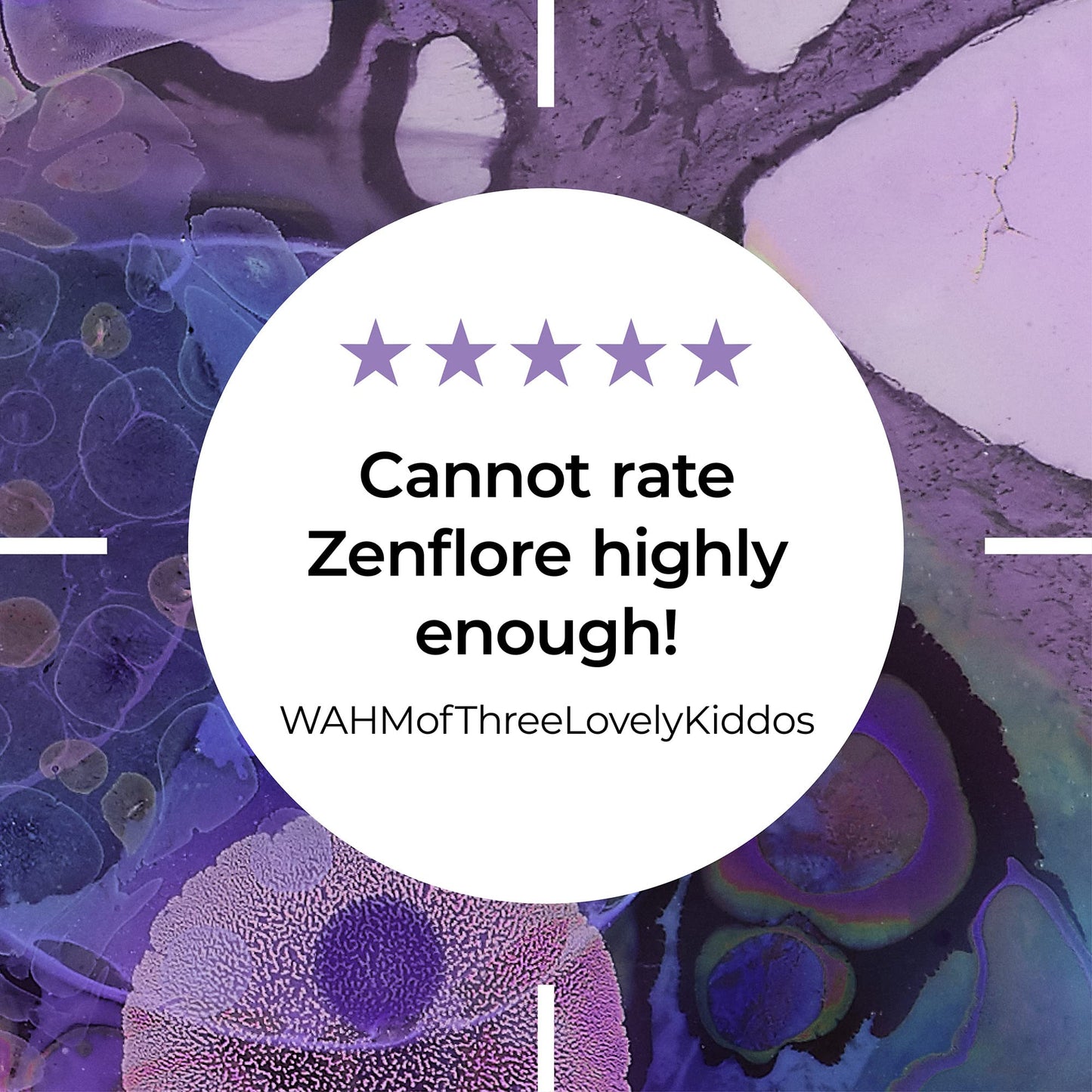 Zenflore 12 Week Plan - by PrecisionBiotics - Probiotics Supplement with Unique Bifidobacterium Longum Bacteria Strain 1714 + Vitamin B6 and B12 - for Mental Performance - 90 Capsules