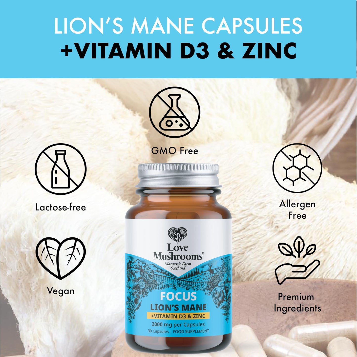 Love Mushrooms – Lion’s Mane Plus Vitamin D3 & Zinc Capsules | Cognitive Support, Immunity Boost, Energy & Vitality | 30 Capsules, Vegan, Made in UK