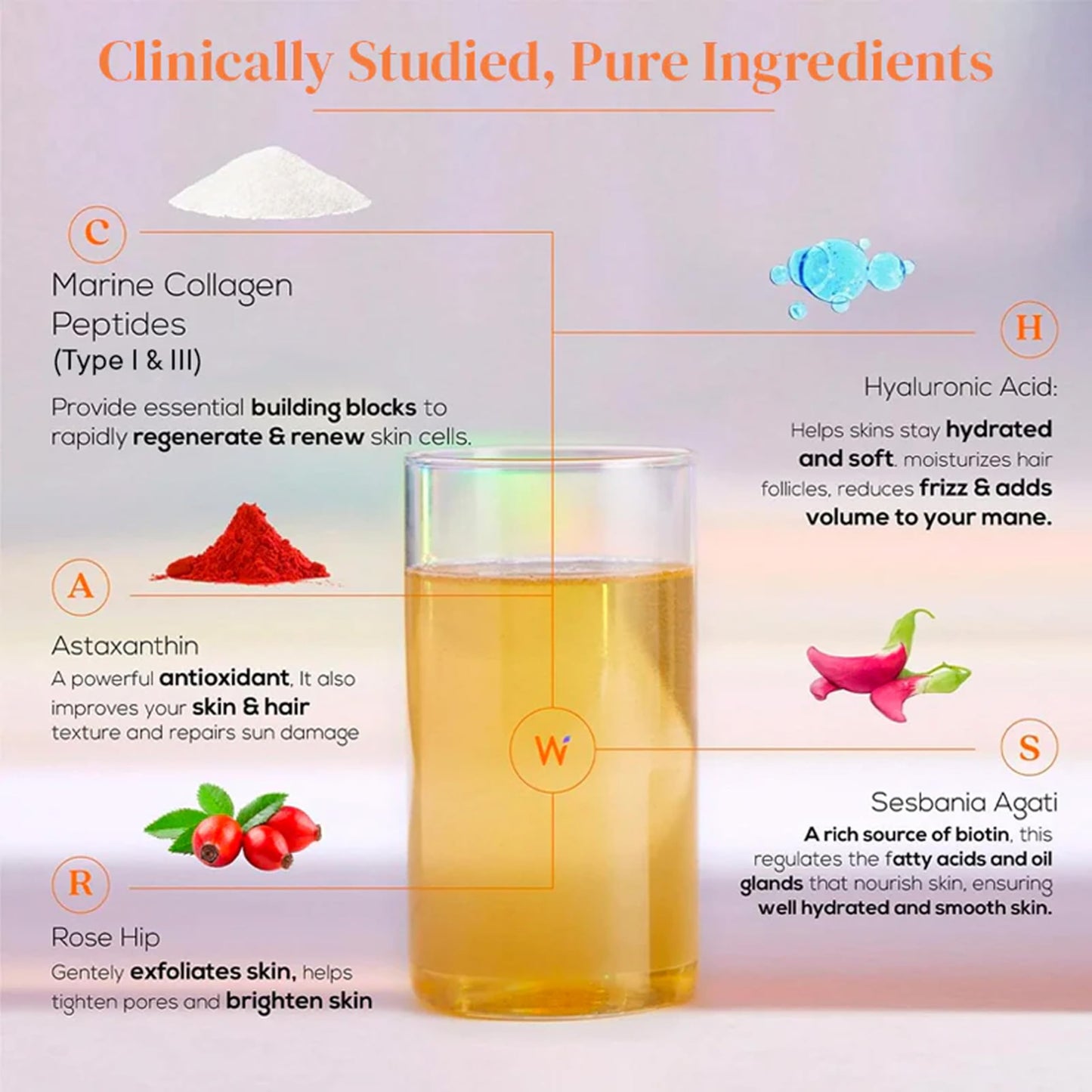 Wellbeing Nutrition Beauty Japanese Marine Collagen - Mango Peach Flavor - 250g