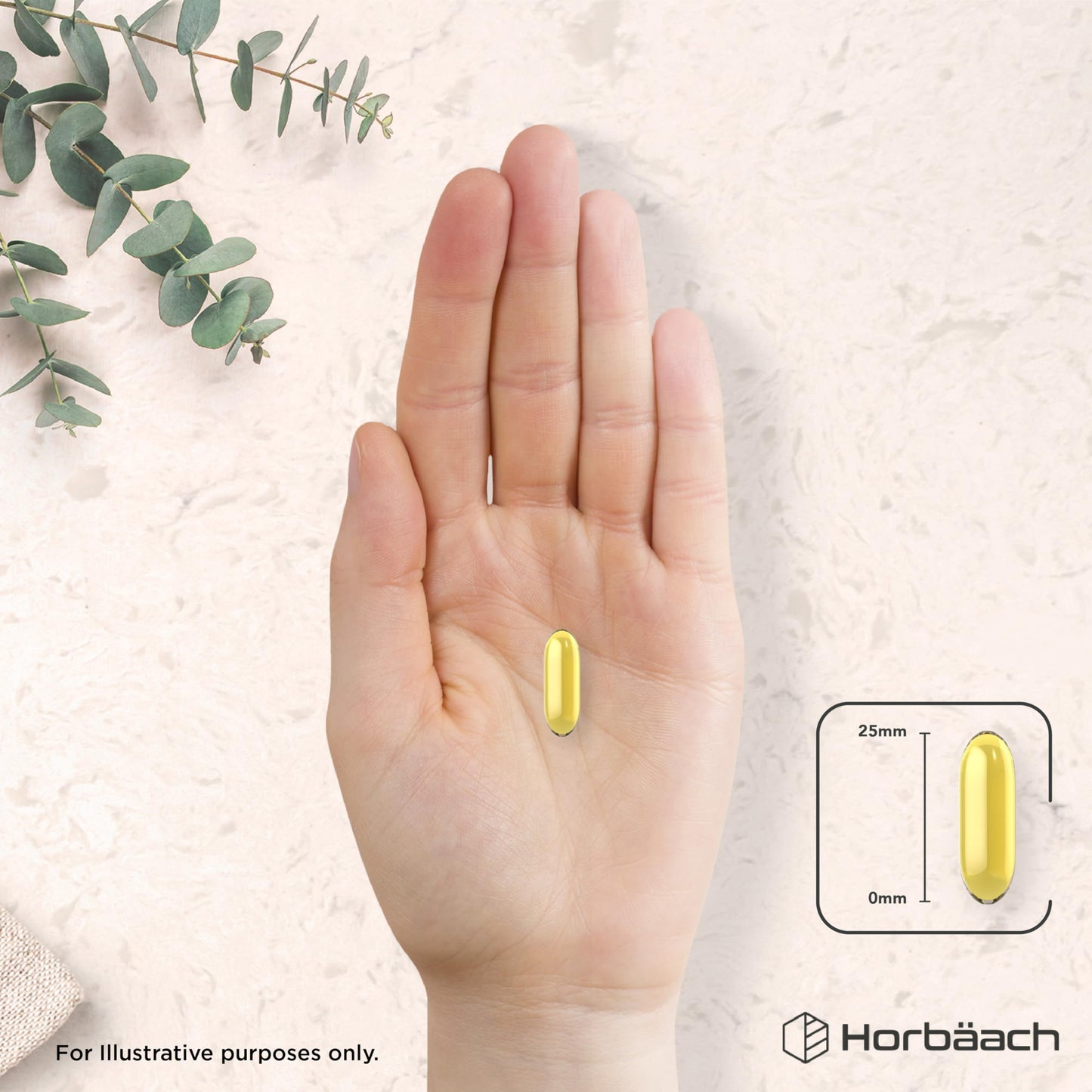 Horbäach Cod Liver Oil Capsules High Strength | 2000mg | 360 Softgel Pills | Rich in Omega 3, Vitamins A & D | Supplement with 171mg of DHA and 151mg of EPA | by Horbaach