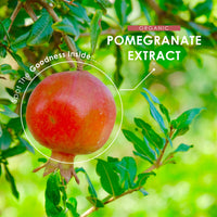 ALPHA01 Organic Pomegranate Extract 20,000mg – 120 Vegan Capsules (4 Months Supply) - High Strength 40:1 Punica Granatum Extract - by Alpha01