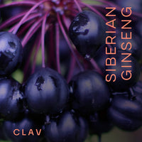 CLAV Siberian Ginseng Extract - 900mg Eleutherococcus Root Powder - Reduction of Tiredness & Fatigue - 60 Ginseng Capsules - Vegan - Made in Germany