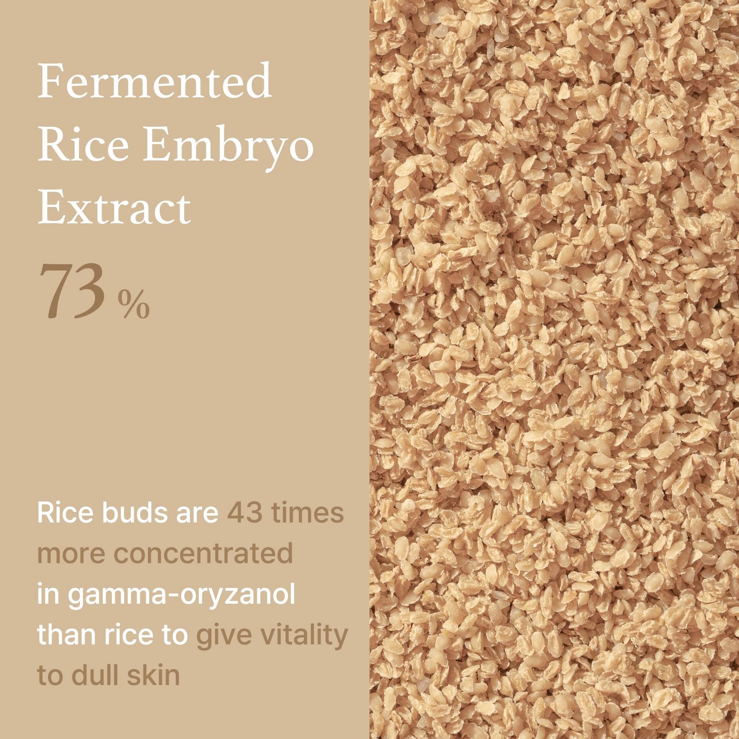 I'm from Rice Serum, 73% Fermented Rice Embryo Extract | Improve Hyperpigmentation, Boost Collagen, Vitality, Supply nutrients to skin with Vitamin B, Healthy Glow