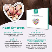healthspan Healthspan Heart Synergex | 28 Day Supply | With Vitamin D3 | Plant Sterols | Garlic | Cardio-Vitamin Complex | Omega 3 | Co-enzyme Q10 | Friend Of The Sea