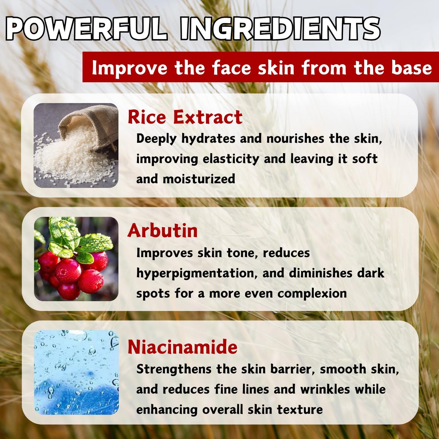 ISBEAUSOLS Glow Deep Serum Rice + Arbutin, Face Serum for Hyperpigmentation, Hydrating & Nourishing Rice Serum, Dark Spot Correcting Glow Serum, Anti Aging Serum, Even Skin Tone, Korean Skincare, 30ml