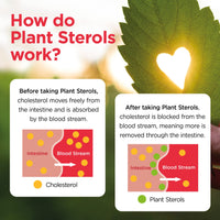 Healthspan Plant Sterols 800mg (90 Tablets) | Proven to Maintain & Lower Cholesterol Levels | Blocks Absorption of Dietary Cholesterol | Reduce The Risk of Coronary Heart Disease | Vegan