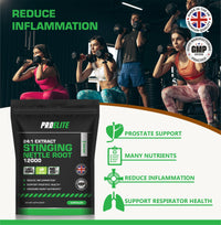 Stinging Nettle Root | 30 Capsules Vegan - 24:1 Extract 12,000mg Nettle Root per Capsule | High Strength Stinging Nettle Alternative to Powder NO Fillers & Binders | Made in UK by PROELITE