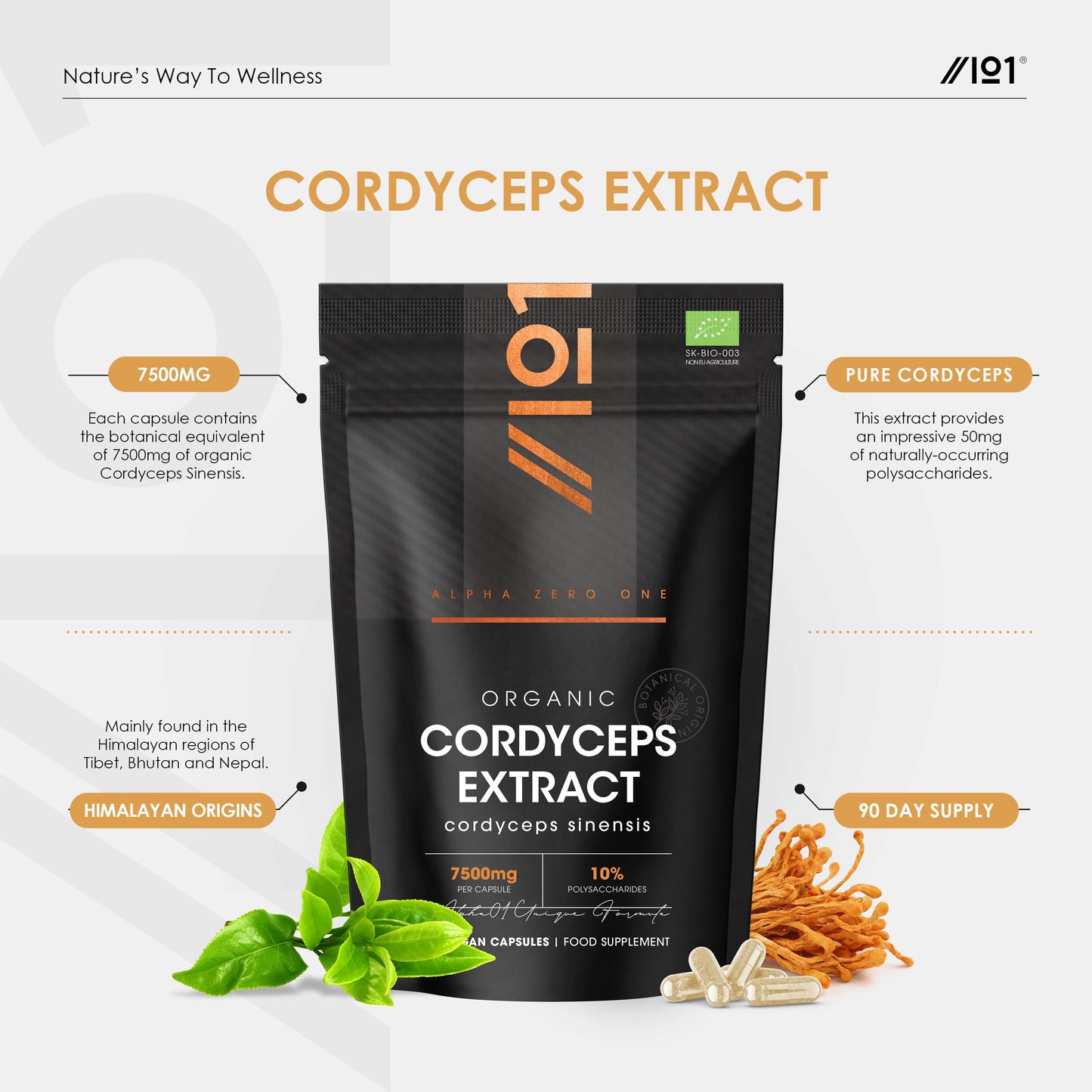 ALPHA01 Organic Cordyceps Mushroom Extract 7500mg – High Strength Polysaccharides Supplement – 90 Vegan Capsules (3 Months Supply) – Resealable and Recyclable Pouch – by Alpha01