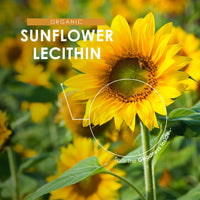 ALPHA01 Sunflower Lecithin Powder 250g - De-Oiled 97% Essential Fat - Premium Quality - Resealable and Recyclable Pouch by Alpha01