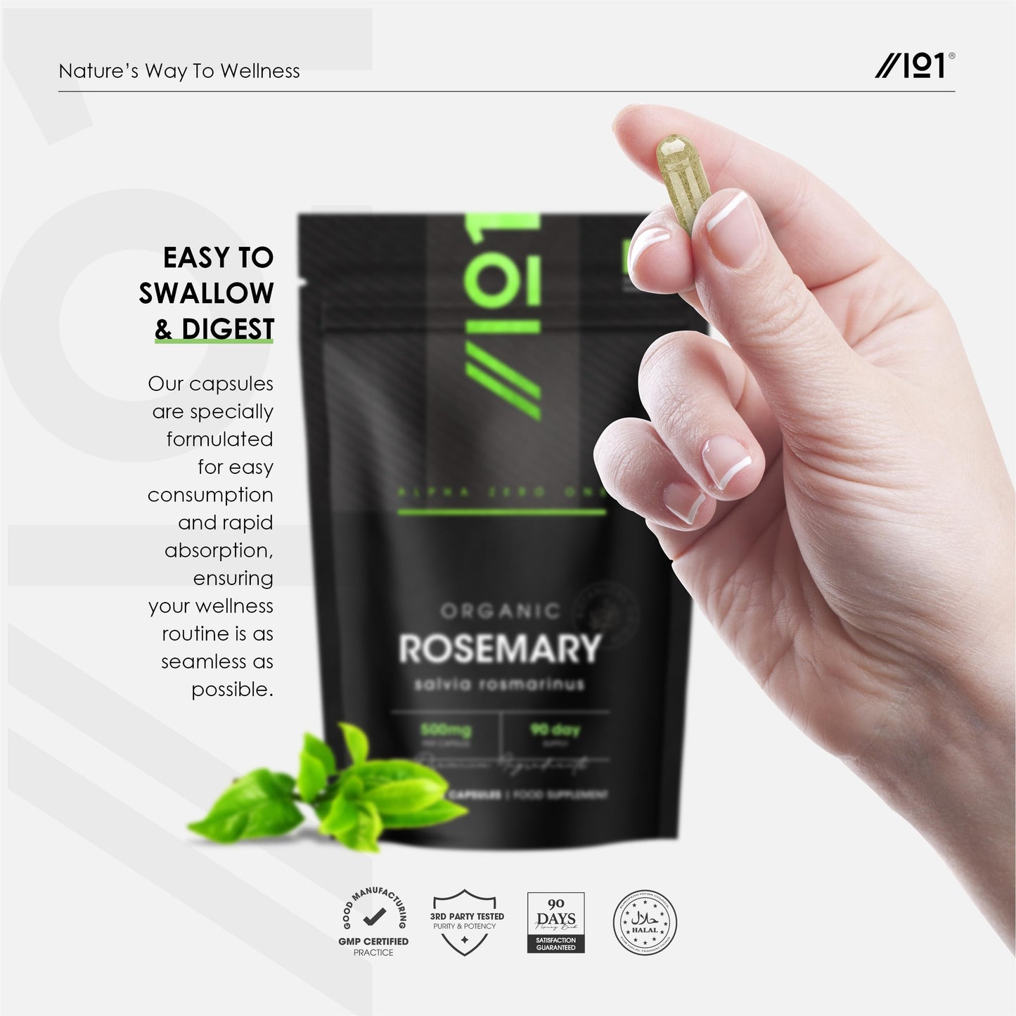 Organic Rosemary 500mg - 90 Vegan Capsules - High Strength Salvia Rosmarinus Supplement - Resealable and Recyclable Pouch - by Alpha01