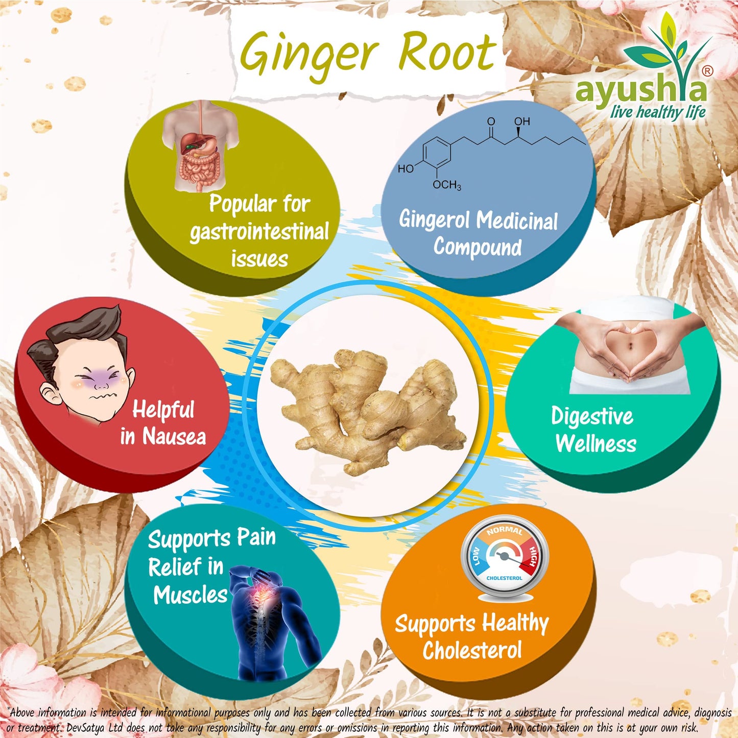 Ayushya Ginger Root (Sunthi) Capsule