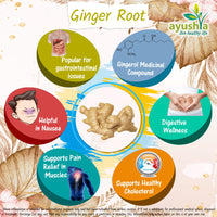 Ayushya Ginger Root (Sunthi) Capsule