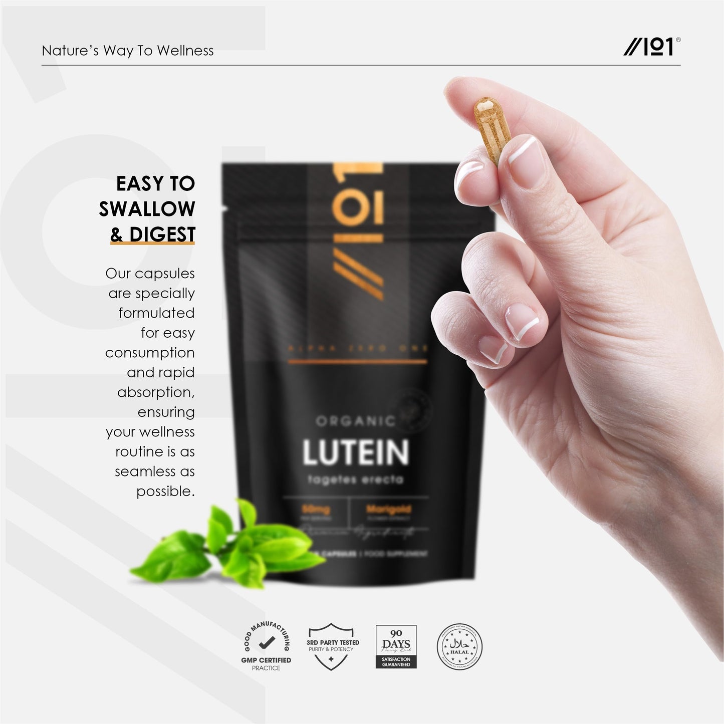 Organic Lutein 50mg – from Marigold Flower Extract – 90 Vegan Capsules (3 Month Supply) – High Strength Lutein Supplement – Resealable and Recyclable Pouch – by Alpha01