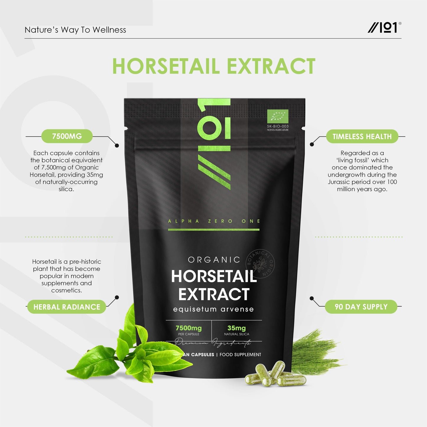 ALPHA01 Organic Horsetail Extract 7500mg – 7% Silicia from High Strength 15:1 Extract – 90 Vegan Capsules (3 Months Supply) – Resealable and Recyclable Pouch by Alpha01