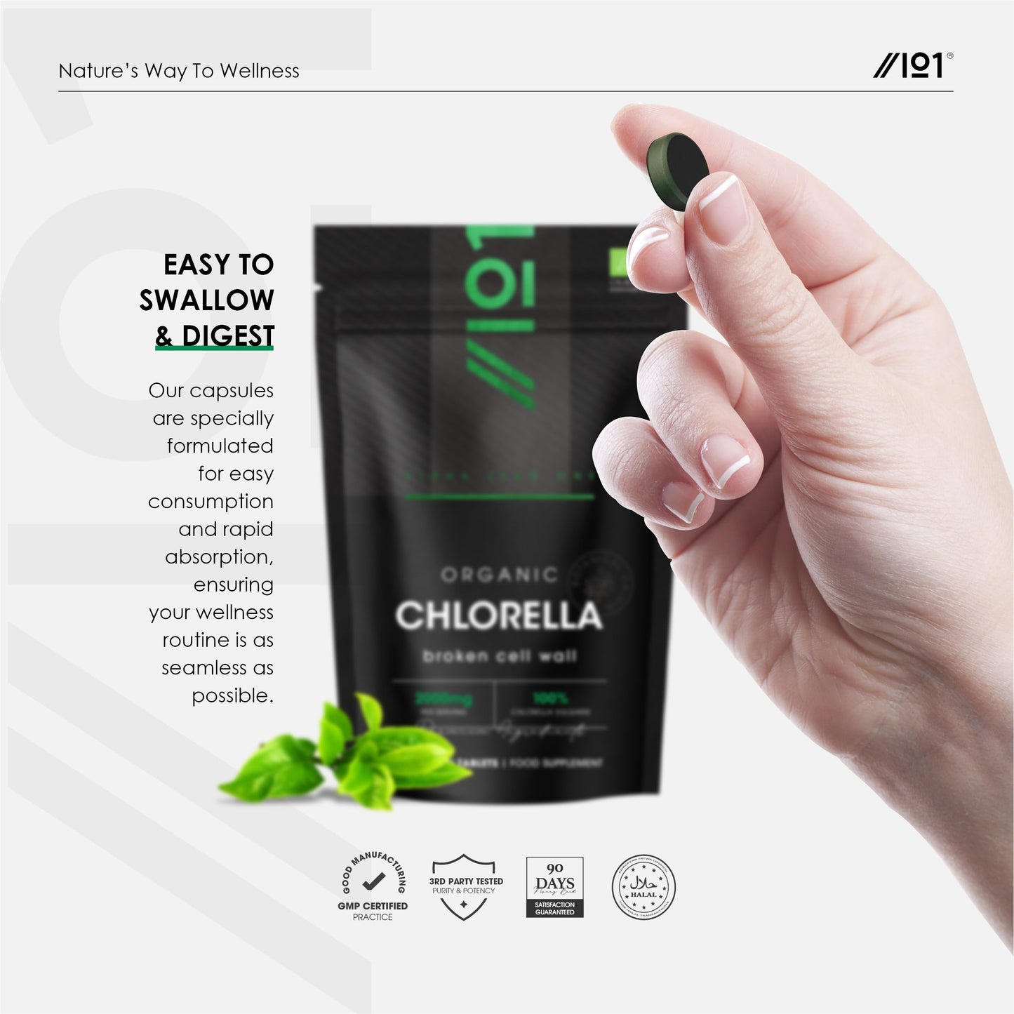 ALPHA01 Organic Chlorella 2000mg – 300 Vegan Tablets – Broken Cell Wall – Pure Formula Supplement with no Additives – Resealable and Recyclable Pouch – by Alpha01