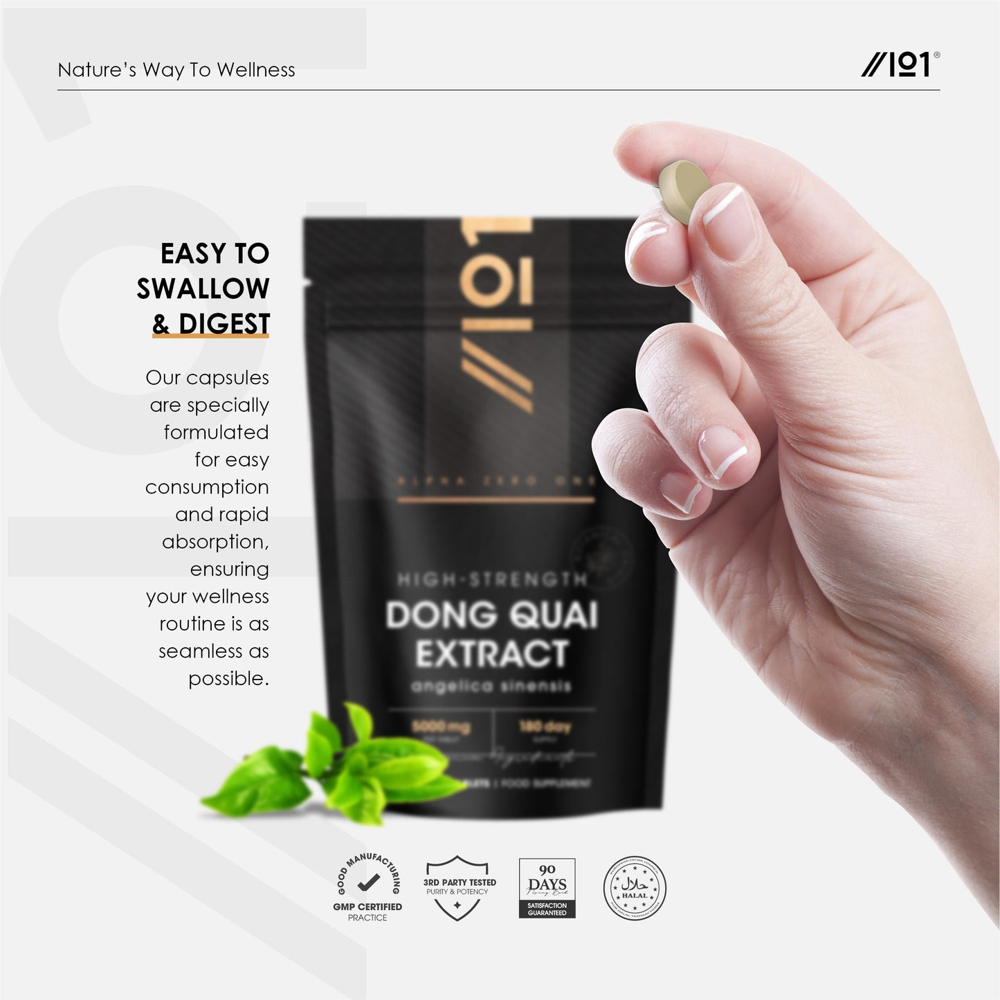 ALPHA01 Dong Quai Extract 5000mg – 180 Vegan Tablets – High Strength 100:1 Angelica Sinensis Extract Supplement – Resealable and Recyclable Pouch by Alpha01