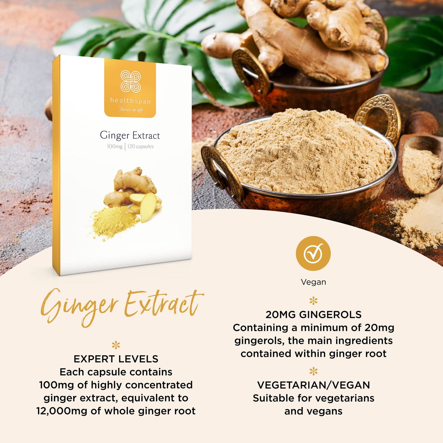healthspan Healthspan Ginger Extract 100mg (4 Months' Supply) | Support Your Digestive Health | Equivalent to 12,000mg of Whole Ginger Root | Providing 20mg Gingerols | Easy to Swallow Capsules | Vegan