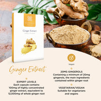 healthspan Healthspan Ginger Extract 100mg (4 Months' Supply) | Support Your Digestive Health | Equivalent to 12,000mg of Whole Ginger Root | Providing 20mg Gingerols | Easy to Swallow Capsules | Vegan
