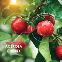 ALPHA01 Organic Acerola Cherry Extract 11,750mg - High Strength 100% NRV Natural Vitamin C, Made from Organic Acerola Cherry 25:1 Extract - Non-GMO, Gluten-Free, Halal, Vegan. 90 Vegan Capsules