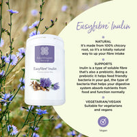 Healthspan Easyfibre Inulin (450g) | A Natural Way to Keep Your Digestive System Functioning Healthily | Increase Fibre Intake | Made from 100% Chicory Root | Vegan