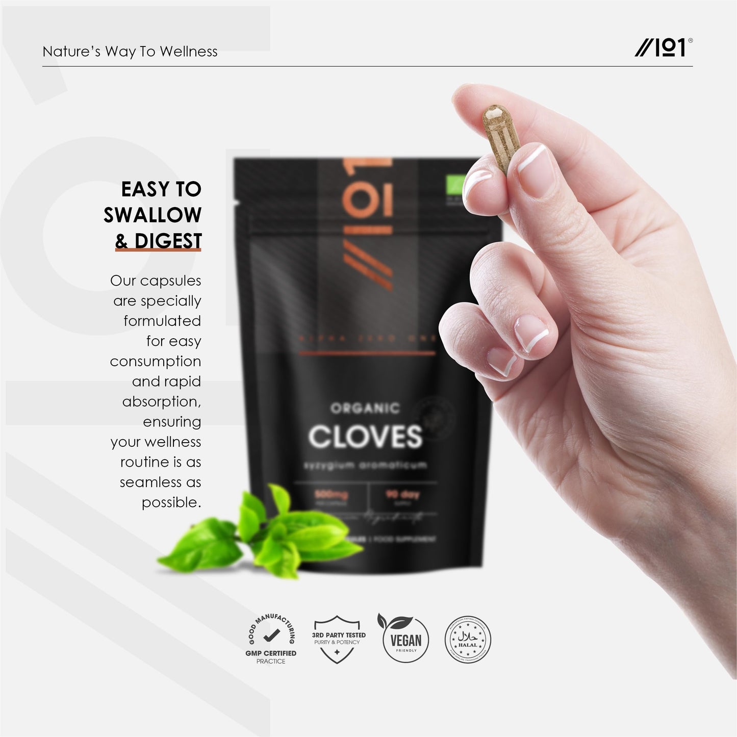 ALPHA01 Organic Clove Capsules 500mg - High Strength Clove Supplement - 90 Vegan Capsules (3 Months Supply) - Resealable and Recyclable Pouch by Alpha01