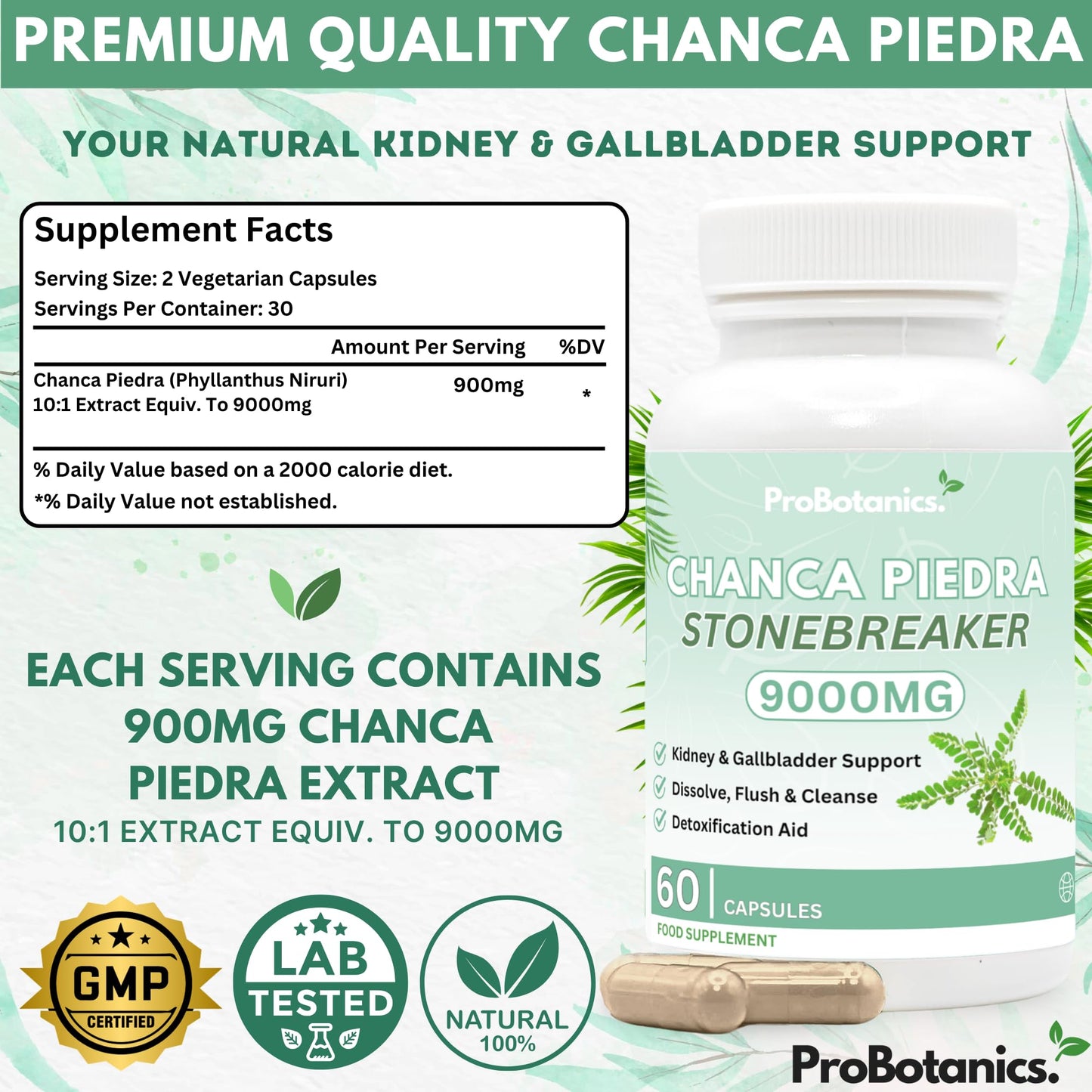 ProBotanics Chanca Piedra Stone Breaker Capsules | Kidney, Liver & Gallbladder Support – Dissolve, Flush & Cleanse | 900mg Per Serving (10:1 Extract Equiv. to 9000mg) Kidney Cleanse Supplement - 60 Capsules