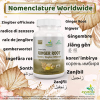 Ayushya Ginger Root (Sunthi) Capsule