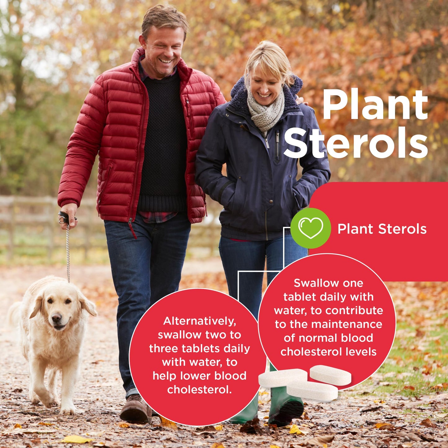 Healthspan Plant Sterols 800mg (90 Tablets) | Proven to Maintain & Lower Cholesterol Levels | Blocks Absorption of Dietary Cholesterol | Reduce The Risk of Coronary Heart Disease | Vegan