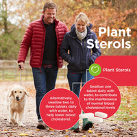 Healthspan Plant Sterols 800mg (90 Tablets) | Proven to Maintain & Lower Cholesterol Levels | Blocks Absorption of Dietary Cholesterol | Reduce The Risk of Coronary Heart Disease | Vegan