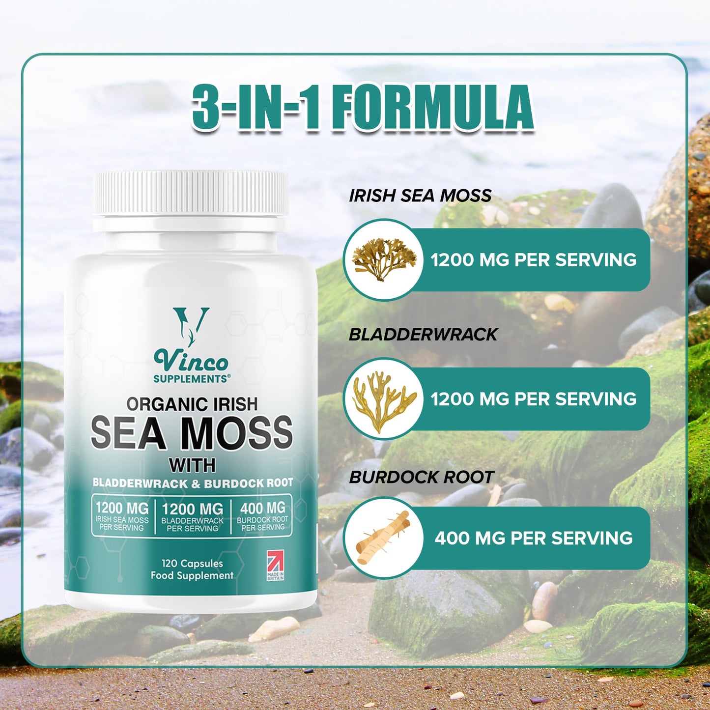 Vinco Supplements Organic Irish Sea Moss Capsules with Bladderwrack & Burdock Root - Sea Moss Supplement, Organic Sea Moss 1200mg, Bladderwrack 1200mg & Burdock 400mg per Serving - Gluten Free, Non-GMO (120 Capsules)