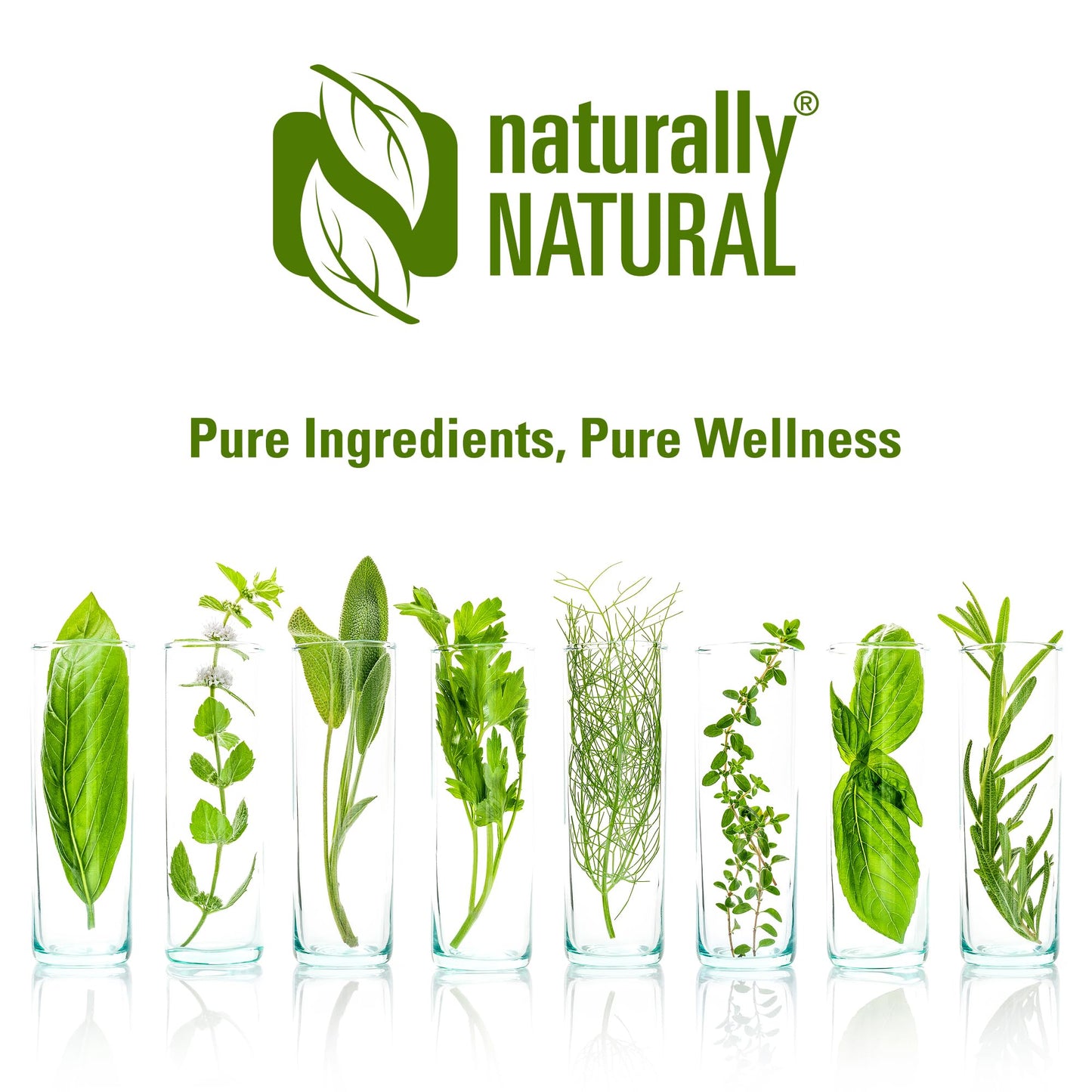 Vitamin B3 Nicotinamide 500mg | 240 Vegan Capsules | 8 Months Supply | Pure No Flush Niacin | High Strength Niacin as Niacinamide Supplement | NAD Precursor Supplement | UK Made by Naturally Natural