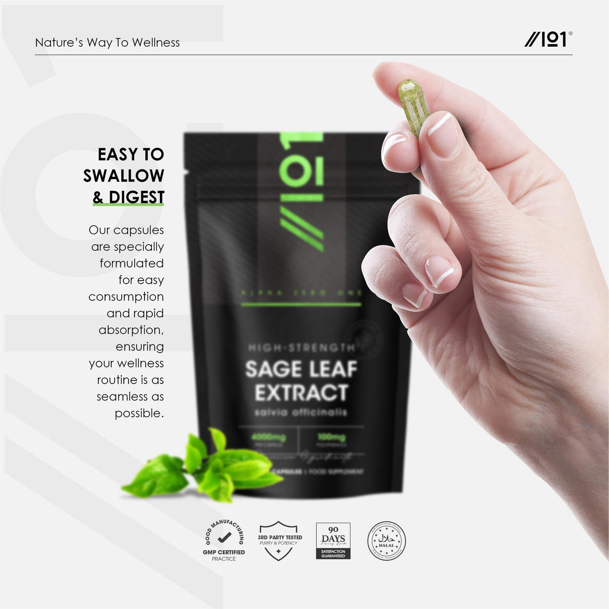 ALPHA01 Sage Tablets for Menopause 4000mg – Standardised 20% Polyphenols (100mg) – 90 Vegan Capsules (3 Months Supply) – Resealable and Recyclable Pouch by Alpha01