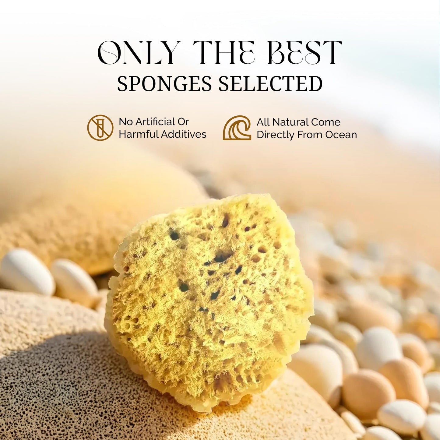 Natural Sponge - Grass Sea Sponge for Bath and Shower | Unbleached Bathing Sponge for Adults & Children (Small (4-4.5"/10-11cm), Pack of 4)