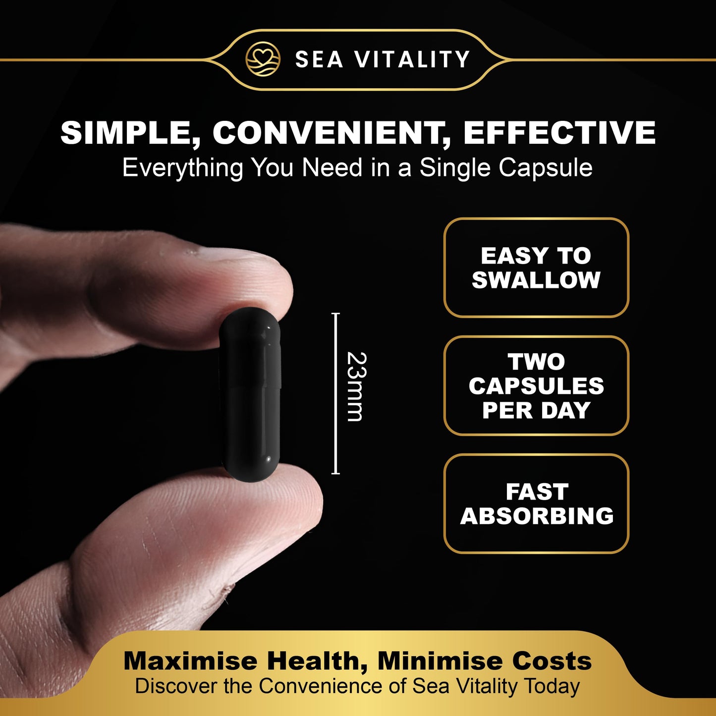 Shilajit SeaMoss and Lions Mane Capsules - 60 High-Strength Vegetable Capsules, 1600mg per Serving, Pure Shilajit, Natural Sea Moss, and Lion's Mane for Enhanced Cognitive and Physical Health