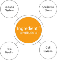 SynBio Premium - Vitamin C + Zinc | 60 Vegan Capsules | Boost Immunity and Wellness | Free from Dairy, Gelatine, Gluten, Nut/Peanut | UK Manufactured | Advanced Formula of Ascorbic Acid & Zinc