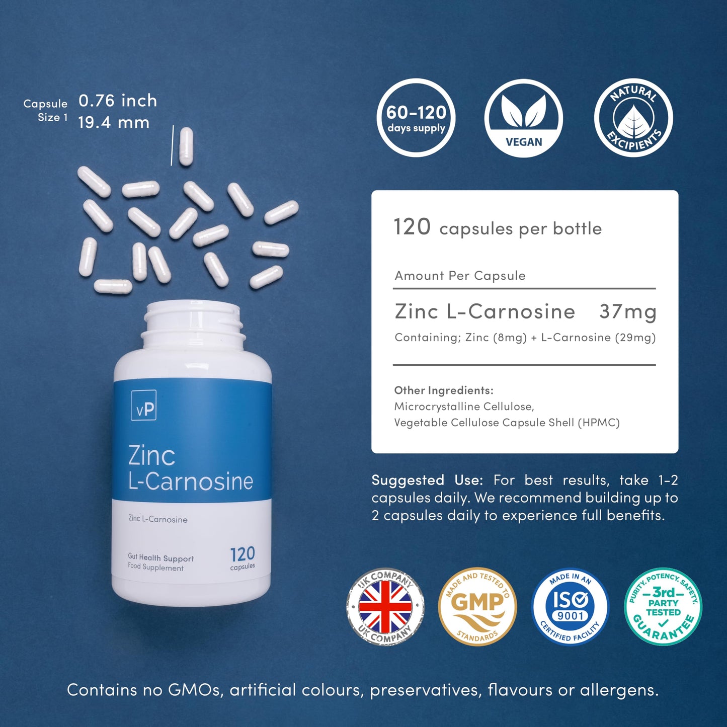Zinc L-Carnosine 37mg x 120 Capsules - Over 99% Purity Third Party Tested - Gut Health Zinc L-Carnosine Supplement - Vitality Pro