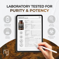 Newgate Labs Turmeric with Black Pepper and Ginger 180 High Strength Tablets - Overall Wellness Support - Premium Nutritional Supplement - GMO Free - Halal - Made in The UK