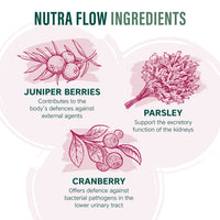 NUTRAFLOW - UTI Vitamin | Urinary Infection Vitamin - 30 Tablets | Ease Discomfort Within The Urinary Tract - Includes Cranberry, Juniper Berries, Acerola & Vitamin C - by NutraVit