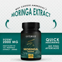 AMBROSIAL Ambrosial Premium Organic Moringa Capsules 2000MG - High Strength Antioxidant Superfood Supplement for Energy and Wellness - 120 Veg Capsules