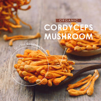 Organic Cordyceps Sinensis Powder 100g – Pure Cordycipitaceae Mushroom – Resealable and Recyclable Pouch – by Alpha01