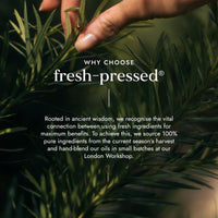 Fushi Root Revival Hair Oil 30ml Stimulates Natural Hair Growth | Reduce Hair Loss & Thinning | Suitable for All Hair Types | Manufactured in the UK