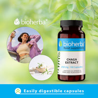Chaga Mushroom Extract - 250 mg - 100 Capsules - Immune Support Brain Focus and Skin Health Supplement - Pure Chaga with Vitamin B5 for Daily Wellness by BIOHERBA