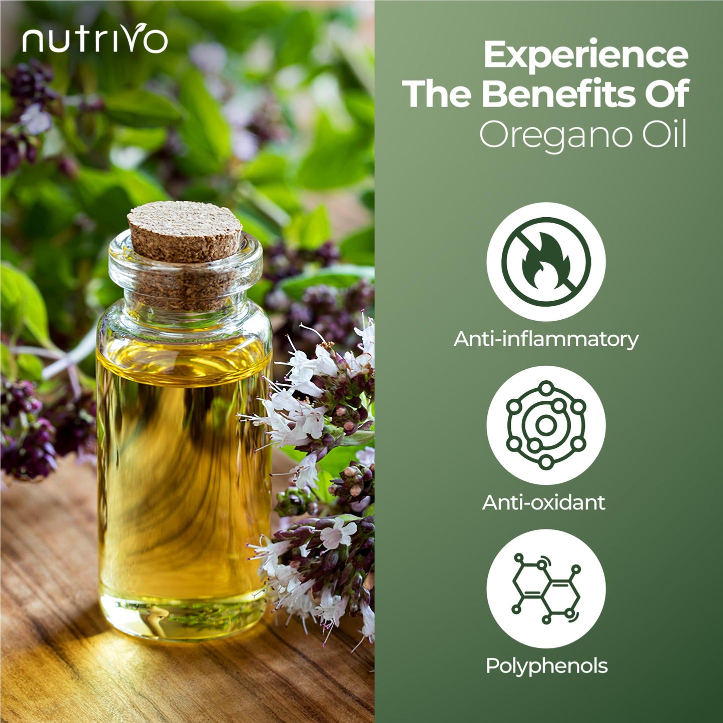 Oregano Oil Soft Gel Capsules